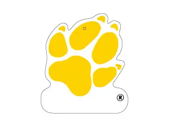 Odorator auto personalizatus exemplum numeri:1119